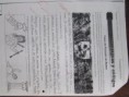 /album/evidencias-castellano/img-1592-jpg/