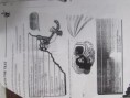 /album/evidencias-ingles/img-1621-jpg/